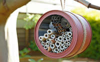 Créer son gîte à insecte 100% récup